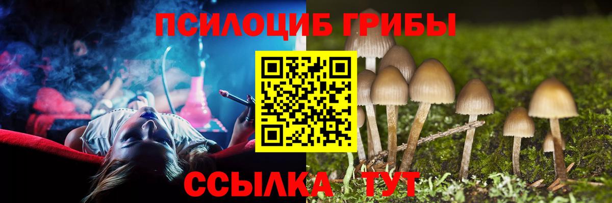 Псилоцибиновые грибы MAGIC MUSHROOMS  Галлюциногенные грибы мухоморы  Новочеркасск  Вход с VPN 